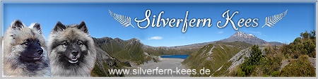 Bild "Informatives:ban_silverfern.jpg"